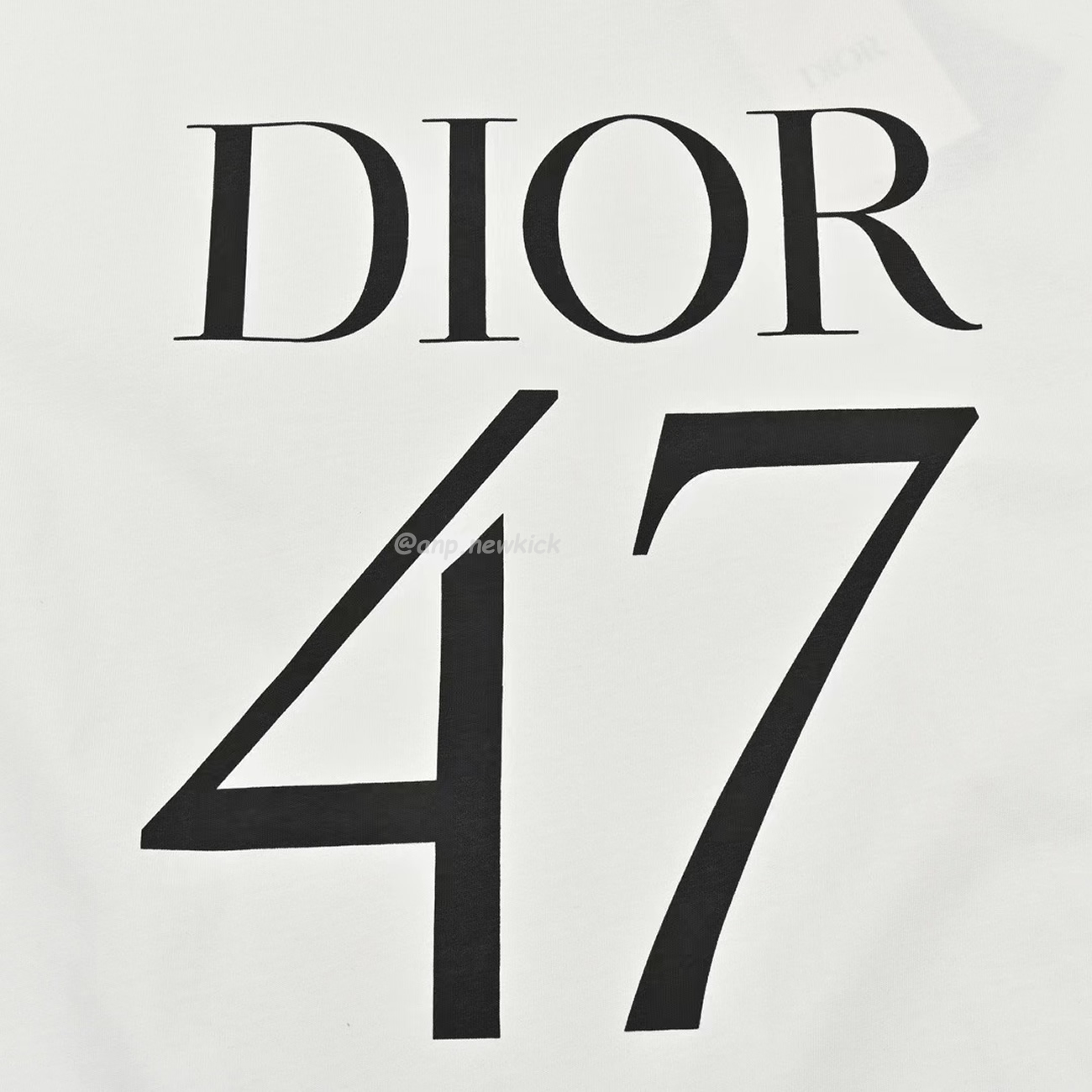 Dior Wide Body Bamboo Pure Cotton Plain Weave Fabric T Shirt White Navy (9) - newkick.org